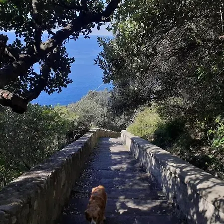 Casa Degli Dei, Angolo Di Paradiso Nocelle-positano Apartamento