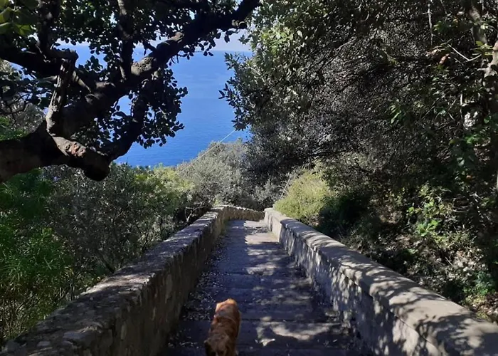 A 5 Minuti Dal Sentiero Degli Dei Апартаменти